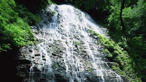 节能独特